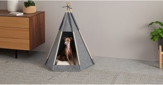 Made.com are doing luxury furniture and accessories for pets