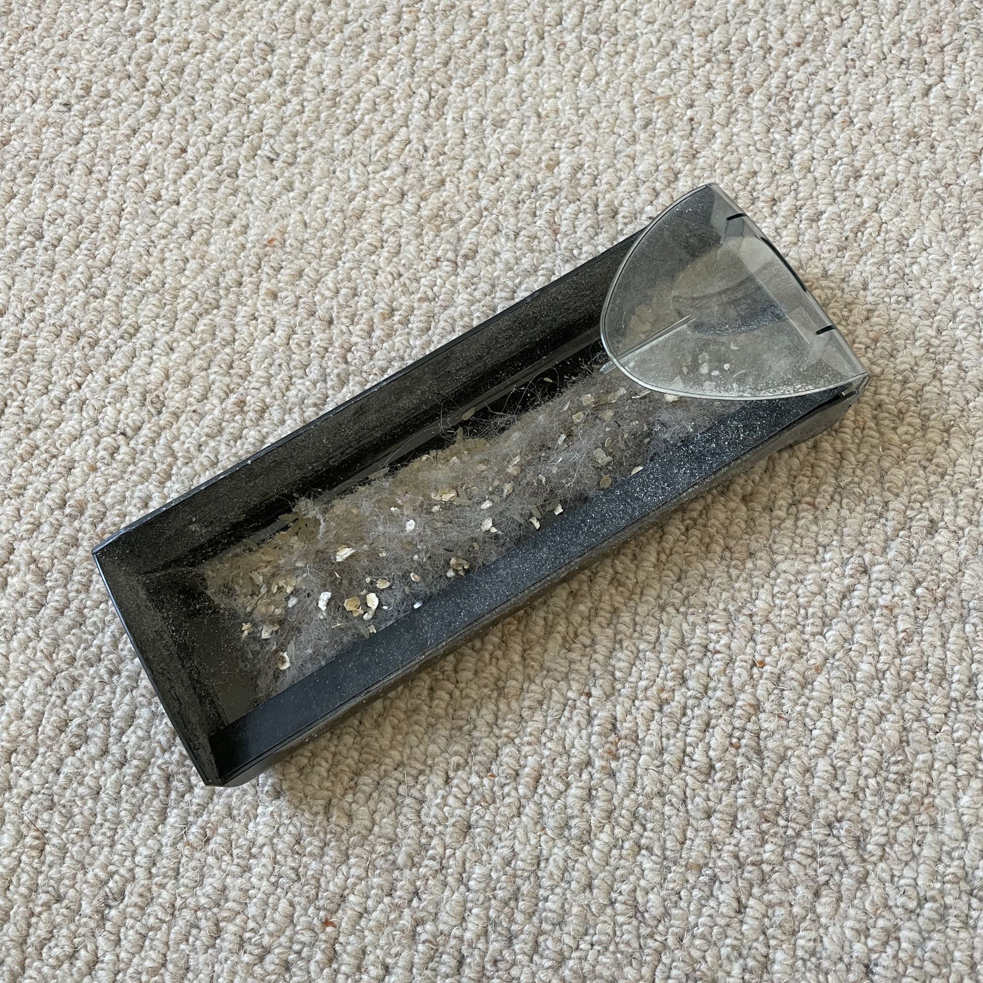 Debris chamber of the gtech carpet sweeper sitting on cream wool carpets