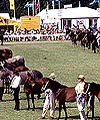 1916CFAE-1AA7-4734-B030-15CB9D9F22A0.jpg