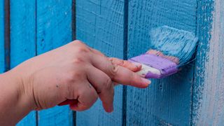 Man painting fence blue