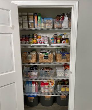 organised pantry with labelled containers