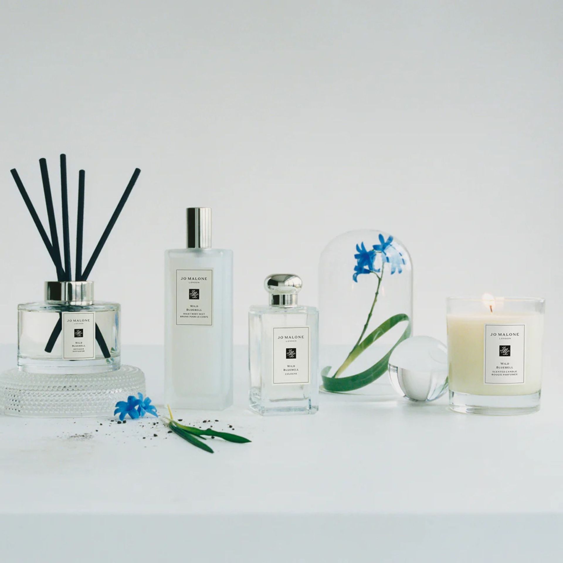 Wild Bluebell collection against a gray background.