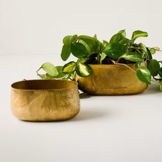 Oval Brass Planter (Large)