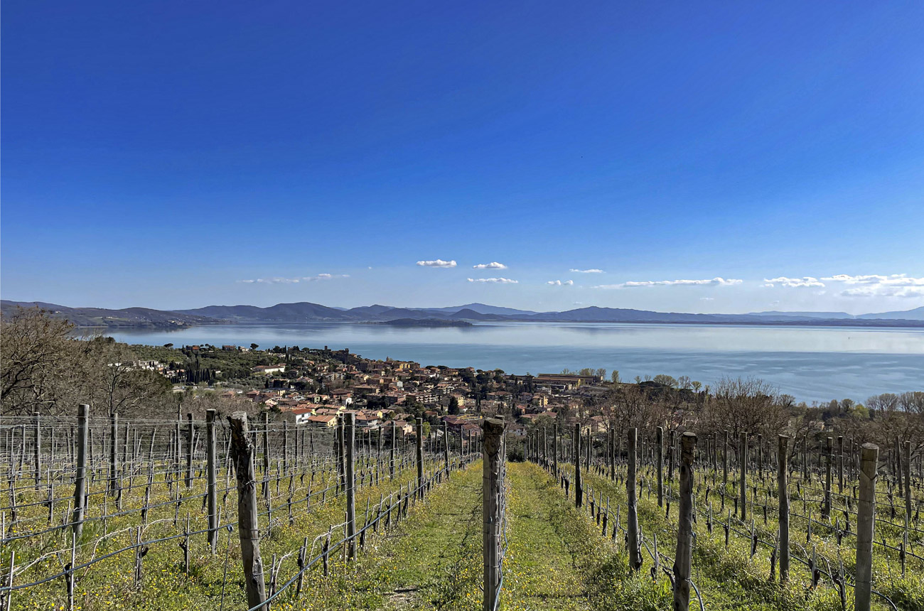 Umbria_Trasimeno.jpg