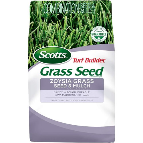 Zoysia grass seed