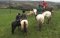 11-Cheshire-forest-hunt-image1.jpg
