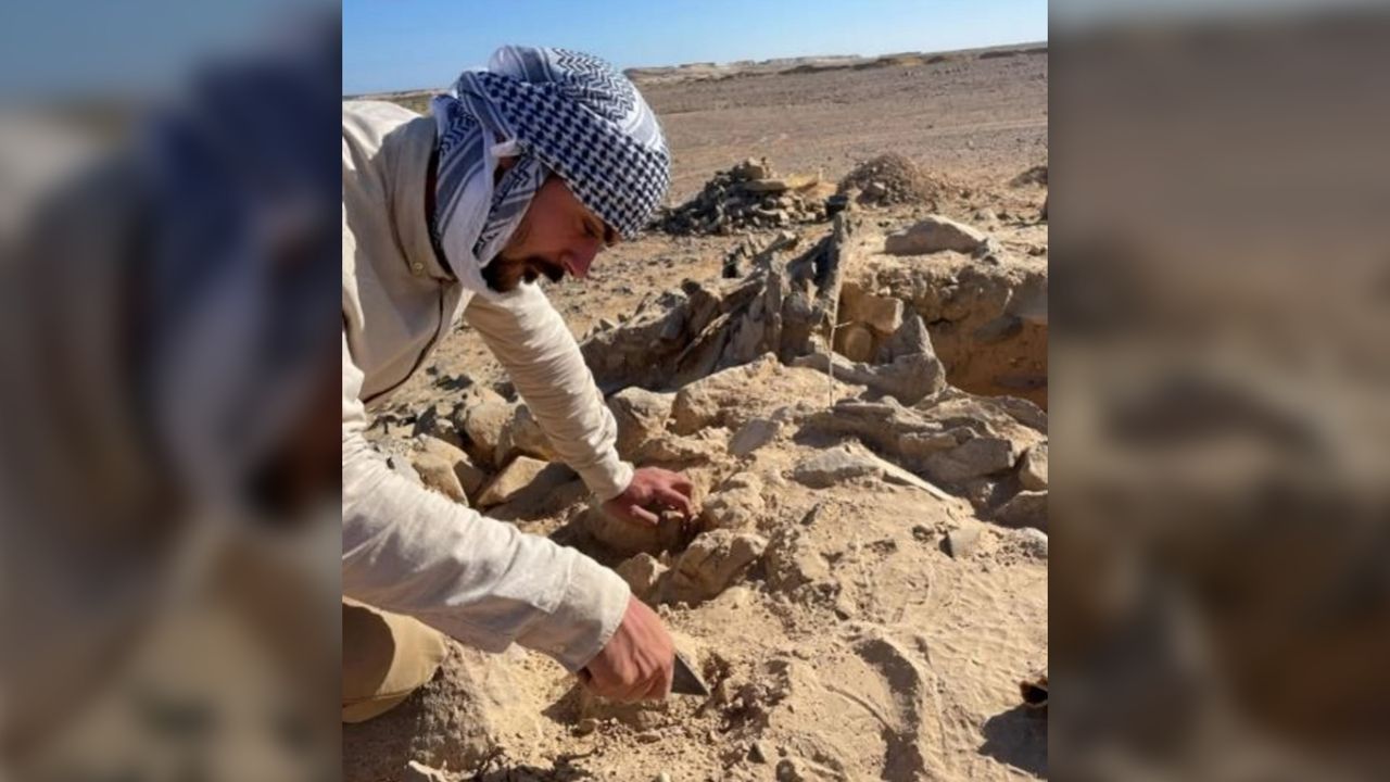 A man in a headscarf excavates the stony ground.