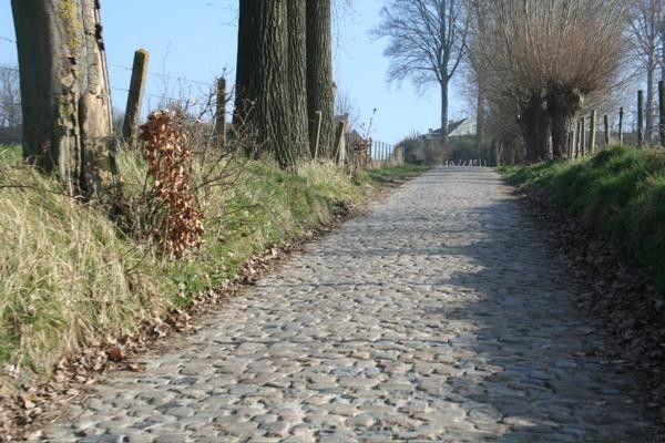 Once you're past the steepest part of the Koppenberg, it keeps on going and never seems to let up until you reach the top.