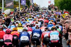 OUDENAARDE BELGIUM MARCH 31 A general view of the peloton climbing to the Berendries hill while fans cheer during the 21st Ronde van Vlaanderen Tour des Flandres 2024 Womens Elite a 163km one day race from Oudenaarde to Oudenaarde UCIWWT on March 31 2024 in Oudenaarde Belgium Photo by Luc ClaessenGetty Images