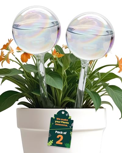 Iridescent Self Watering Globes, Glass Rainbow Plant Watering Globes, Self Watering Planter Insert, Automatic Plant Waterer Indoor (medium-2 Pcs Iridescent, Medium)