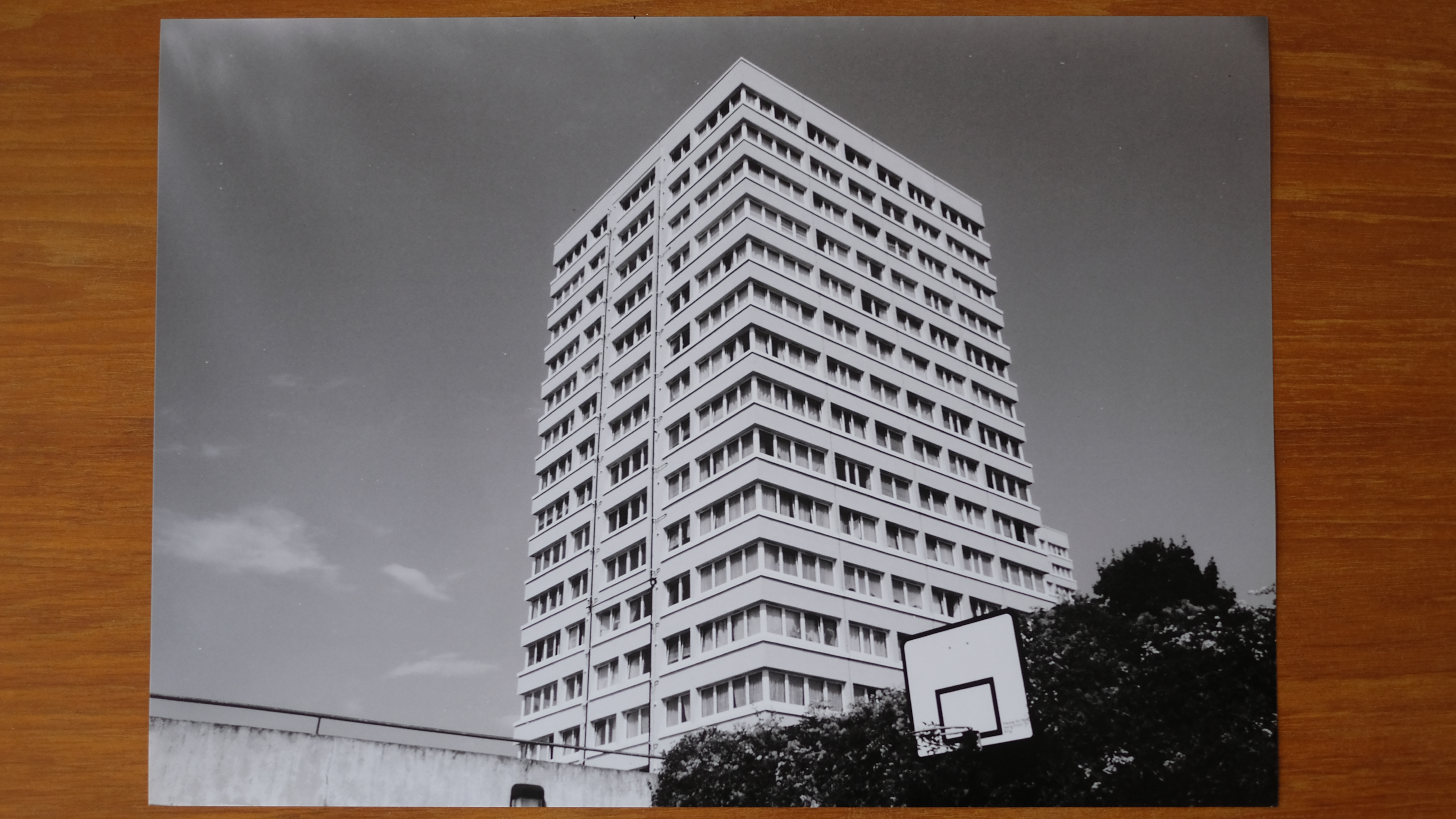 Photograph of a print from the Canon imagePROGRAF PRO-310