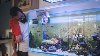 Best fish tank accessories: Get some aquarium envy from your fellow