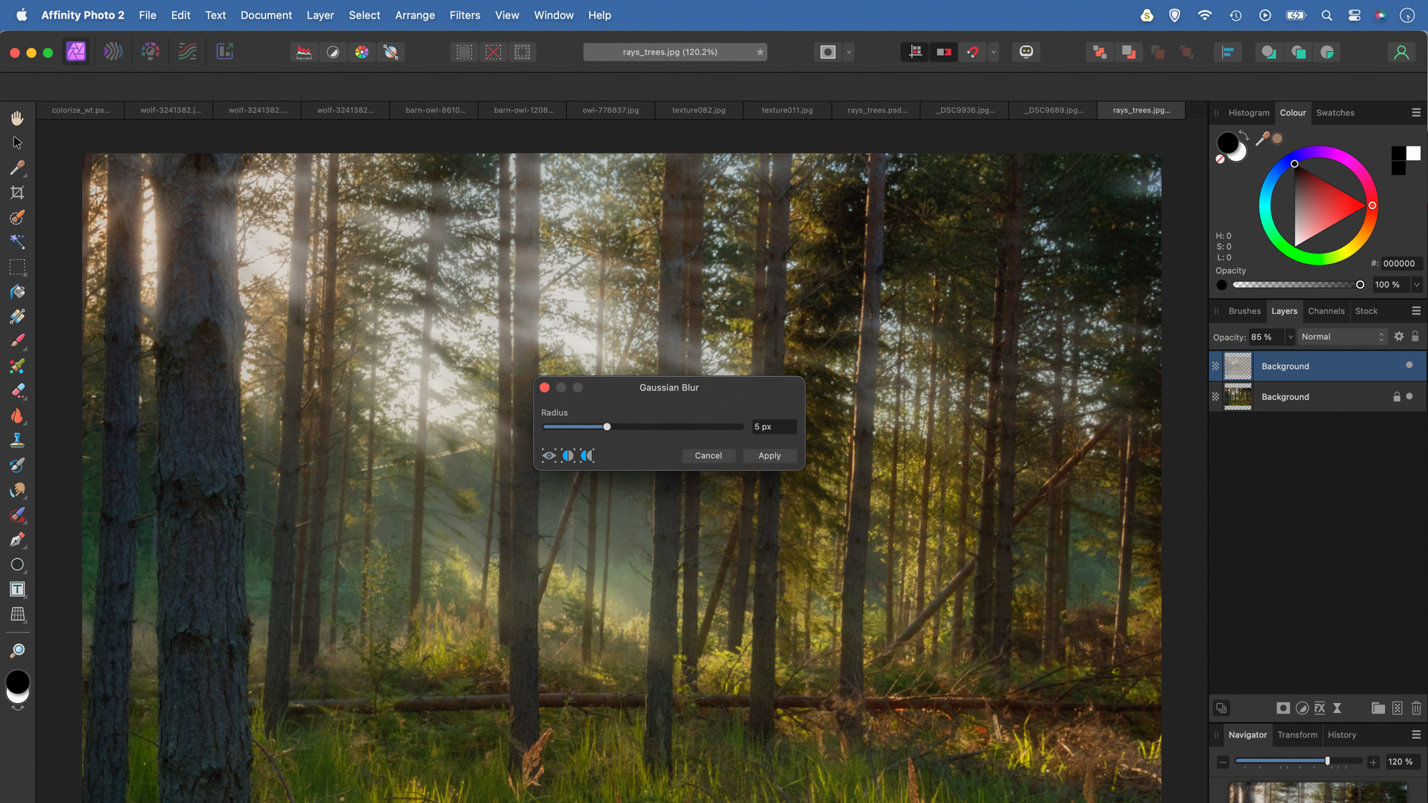 A person editing a forest scene in Affinity Photo adding light rays