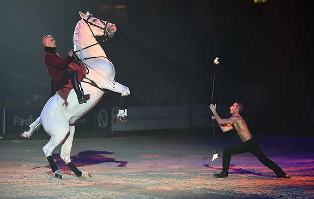 Wow-factor horsemanship