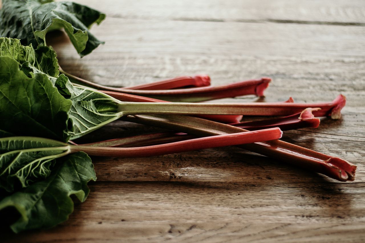 Growing rhubarb