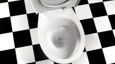 photo of a flushing toilet shown from above