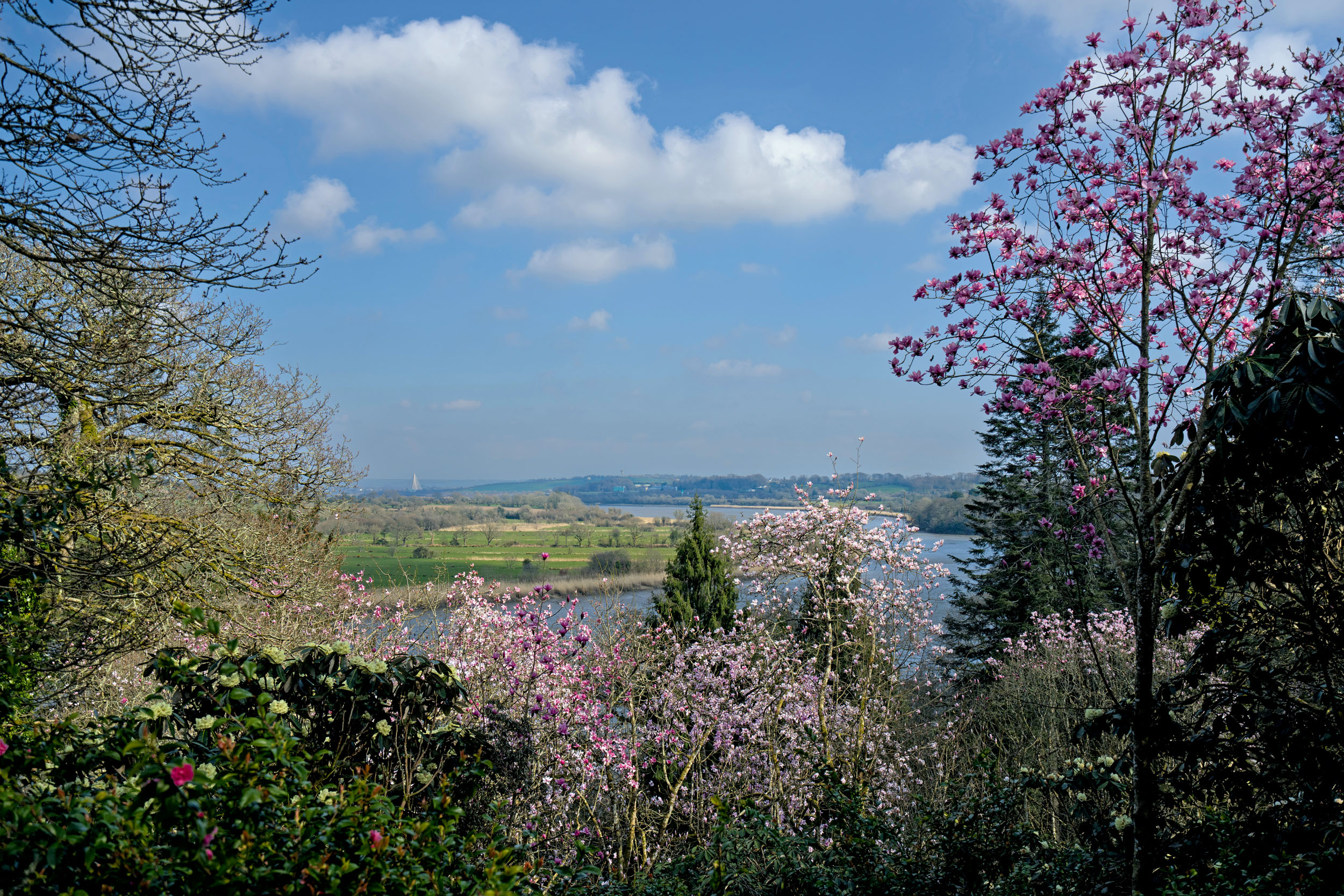 The garden of Mount Congreve