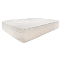 Naturepedic Pillow Top Concerto mattress:was $1,699now $1,359.20 with code MEMORIAL20 at NaturepedicUser score: ★★★★½ 