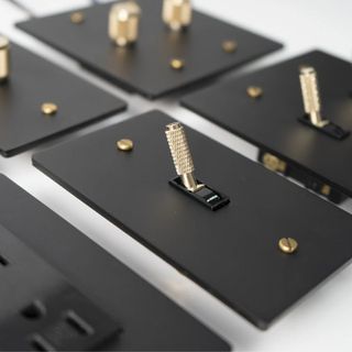 Brass and black light switch