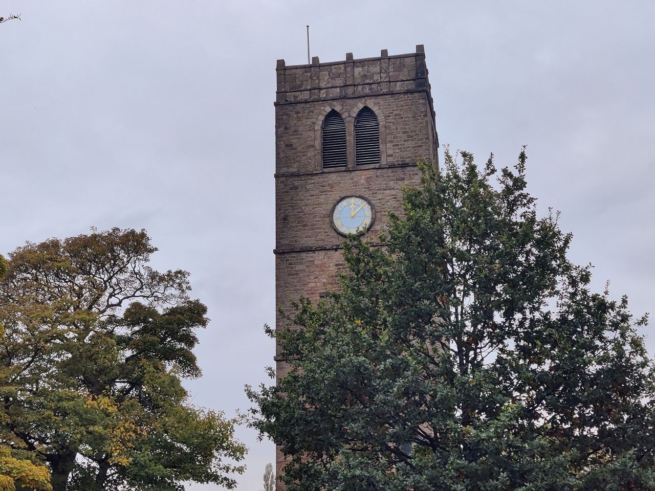 OnePlus 8T camera sample