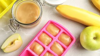 Ice cube tray baby food
