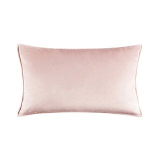 Warisi Square Velvet Pillow Cover & Insert & Reviews | Wayfair