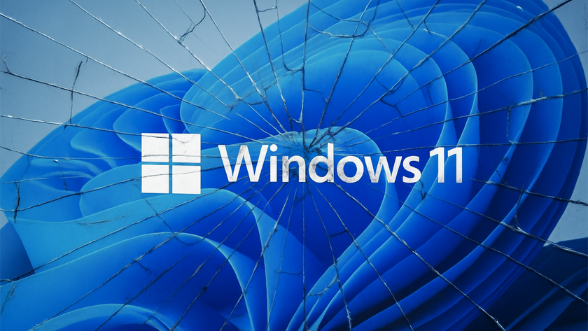 Windows 11 logo shattered