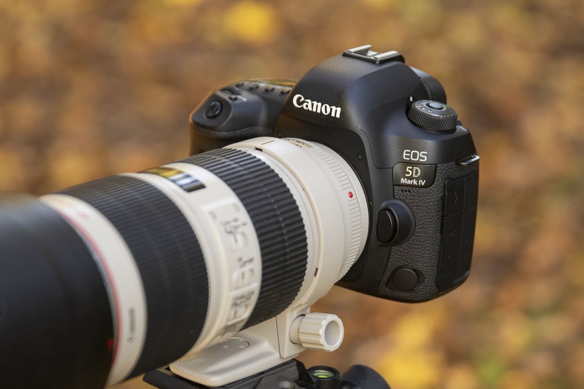 The Canon EOS 5D Mark IV with a telephoto lens and fall leaves