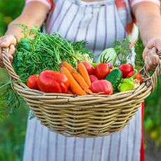 Chef in apron holds basket of freshly harvested vegetables