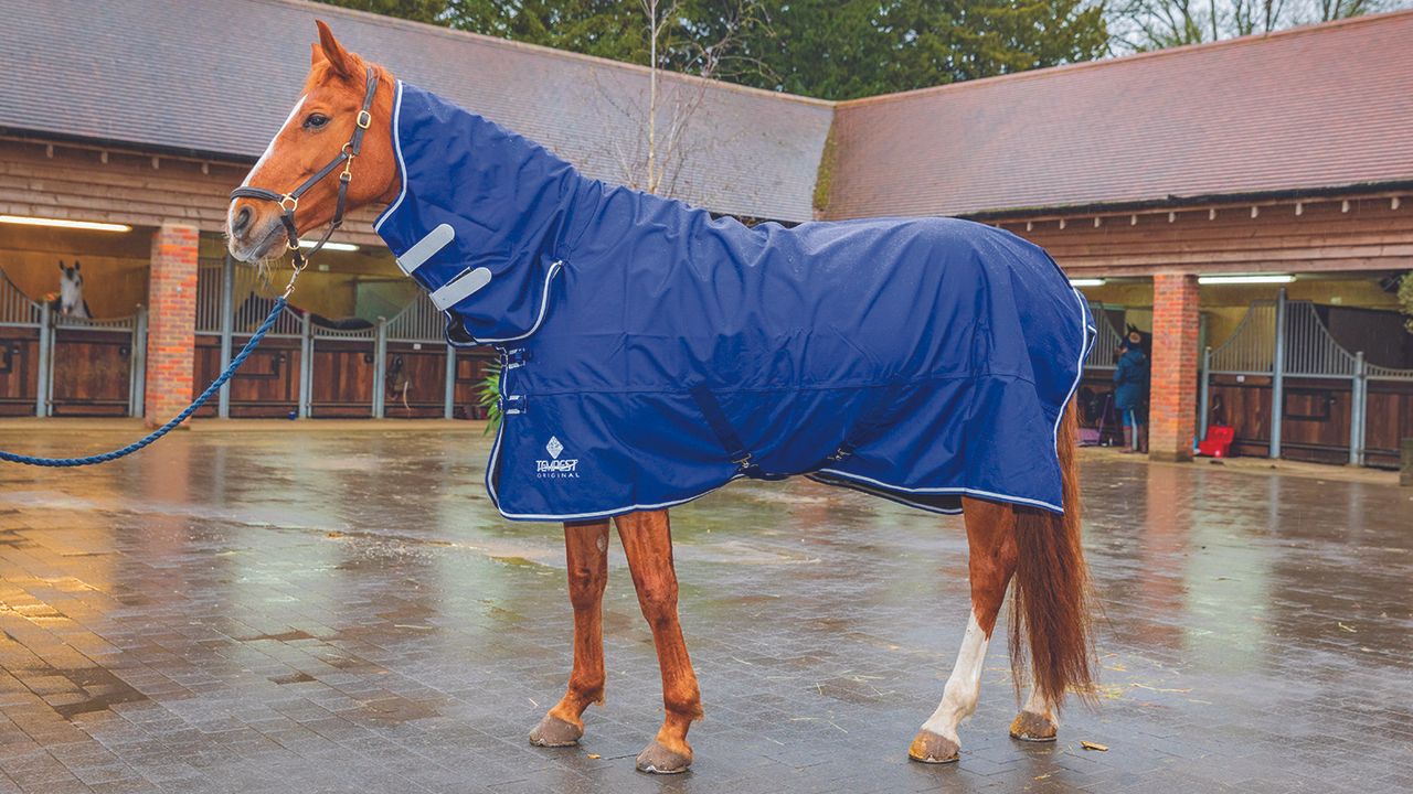 Shires Tempest Original Air Motion Combo review