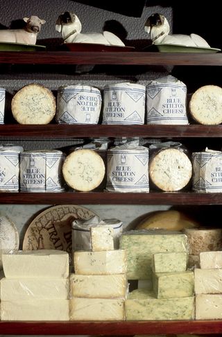 stilton