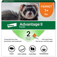 Advantage II Flea Treatment | Amazon