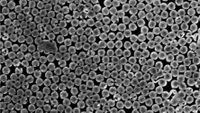 Scanning electron microscope image of the silicon nanopillars 