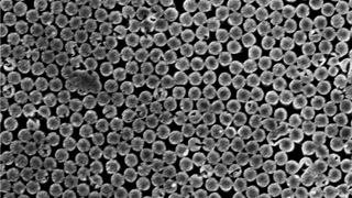 Scanning electron microscope image of the silicon nanopillars 