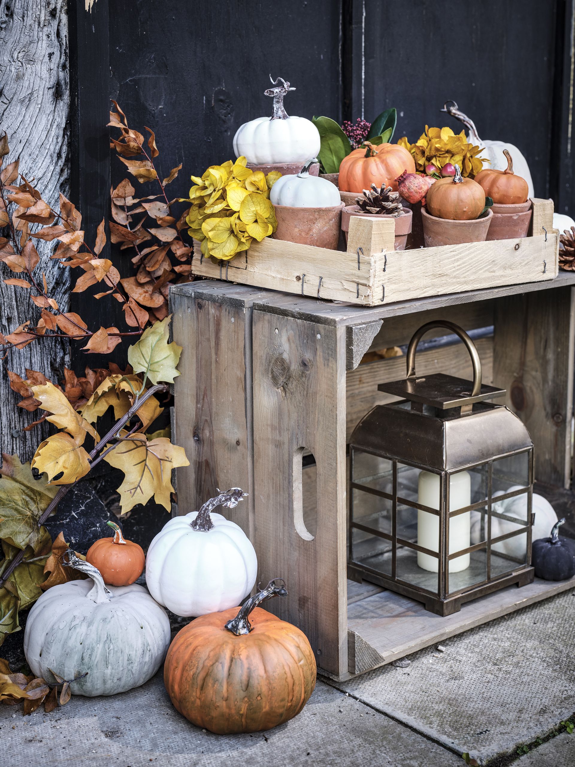 how-long-does-a-carved-or-uncarved-pumpkin-last