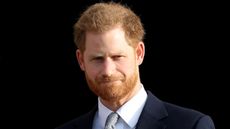 Prince Harry Princess Diana - Prince Harry, Duke of Sussex, the Patron of the Rugby Football League hosts the Rugby League World Cup 2021 draws for the men's, women's and wheelchair tournaments at Buckingham Palace on January 16, 2020 in London, England.