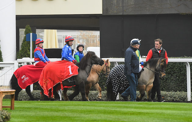 Shetland-Pony-Grand-National_Olympia_18PN_461.jpg