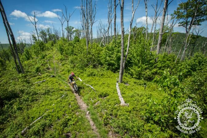 Cole Oberman rides along the scenic Tussey Ridge