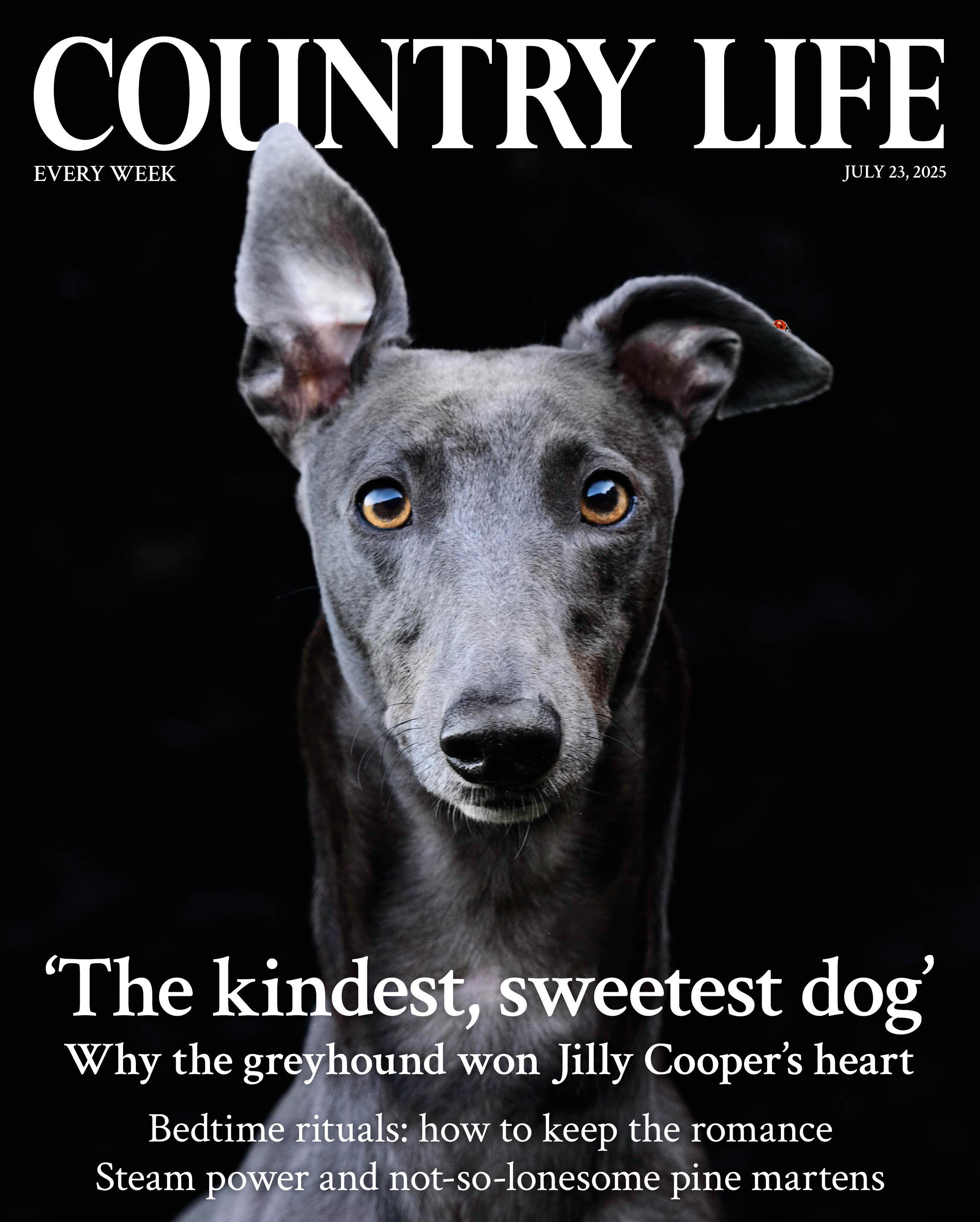 Country Life 23 July 2025 offers a celebration of greyhounds, steam power, pine martens and bedtime rituals.