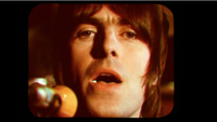   Stop Crying Your Heart Out