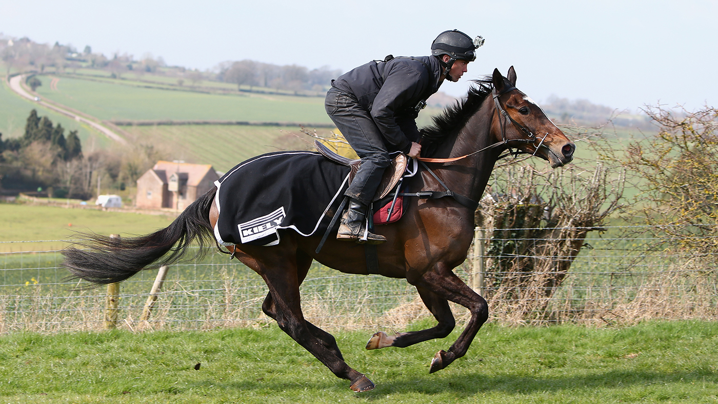 ROSS-ON-WYE, ENGLAND - MARCH 26: Trainer Michael Scudamore rides Monbeg Dude, third favourite for the Grand National, on a hill above his racing gallops on March 26, 2014 in Ross-on-wye, England. (Photo by Michael Steele/Getty Images)