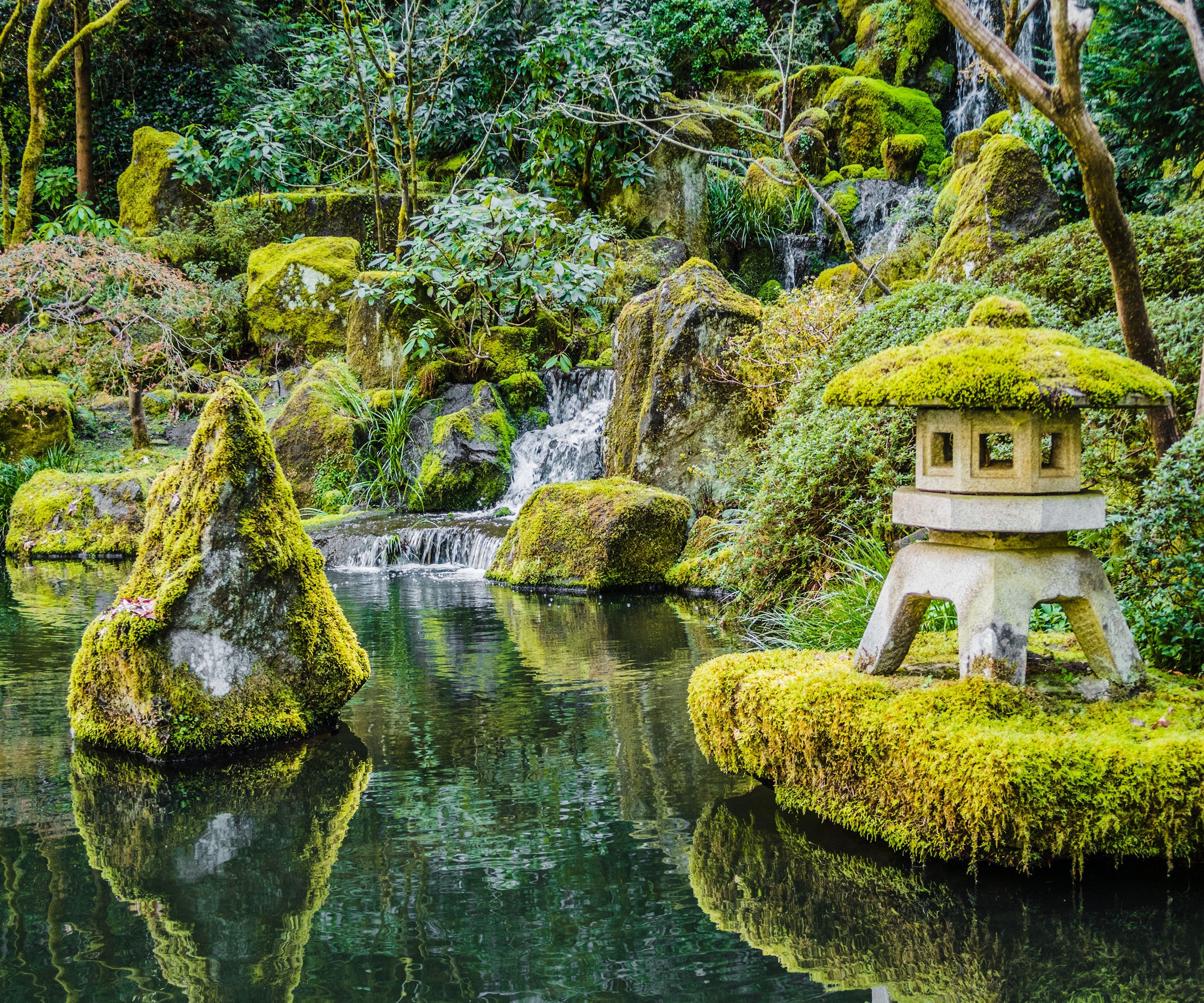 Japanese garden, moss, rocks, stone lantern