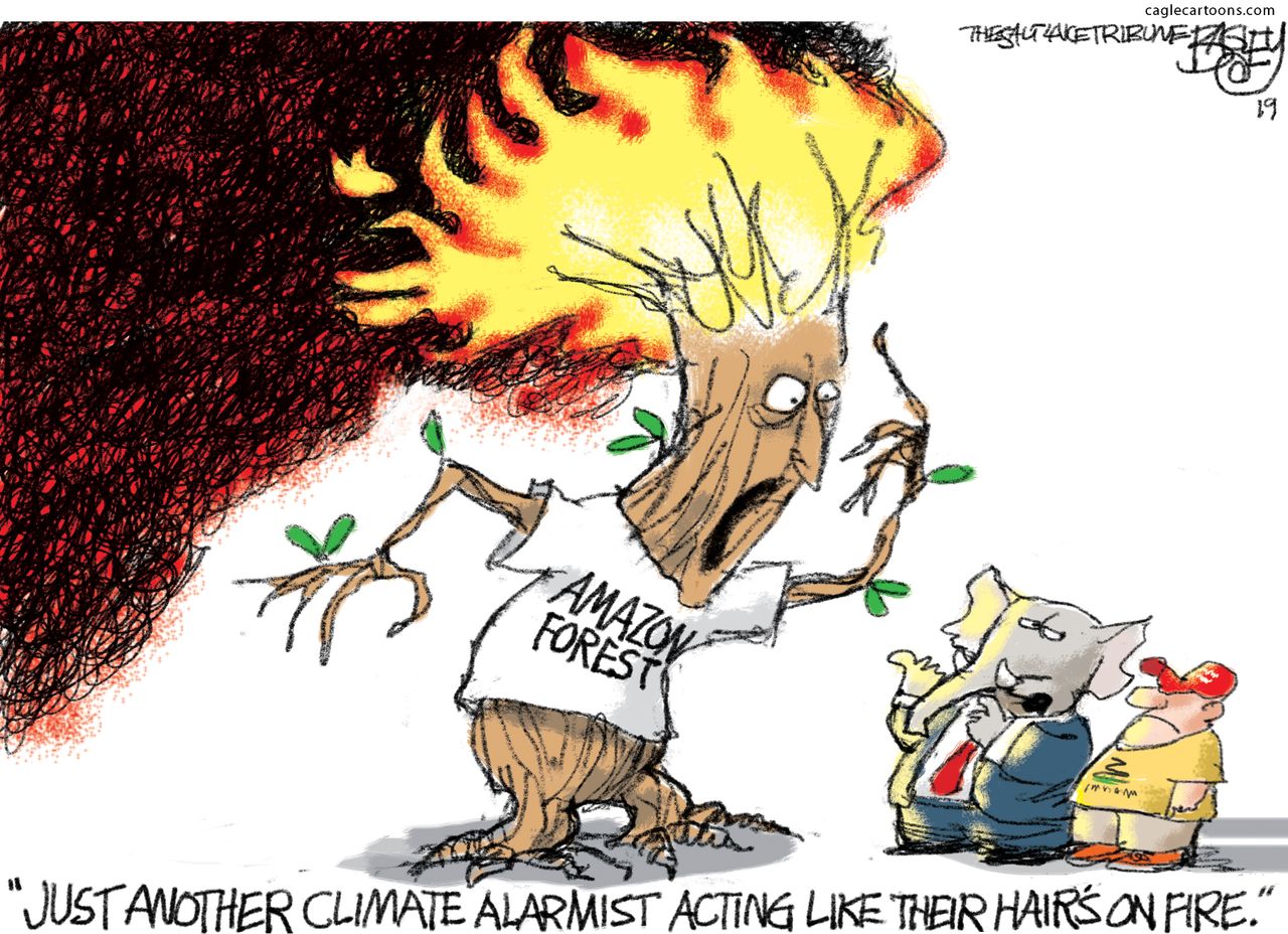 Political Cartoon Climate Change Deniers Amazon Forest Fire