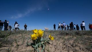 yellow tulips reach skyward in the foreground of a photo of spectators watching the launch of a rocket from a desert steppe.