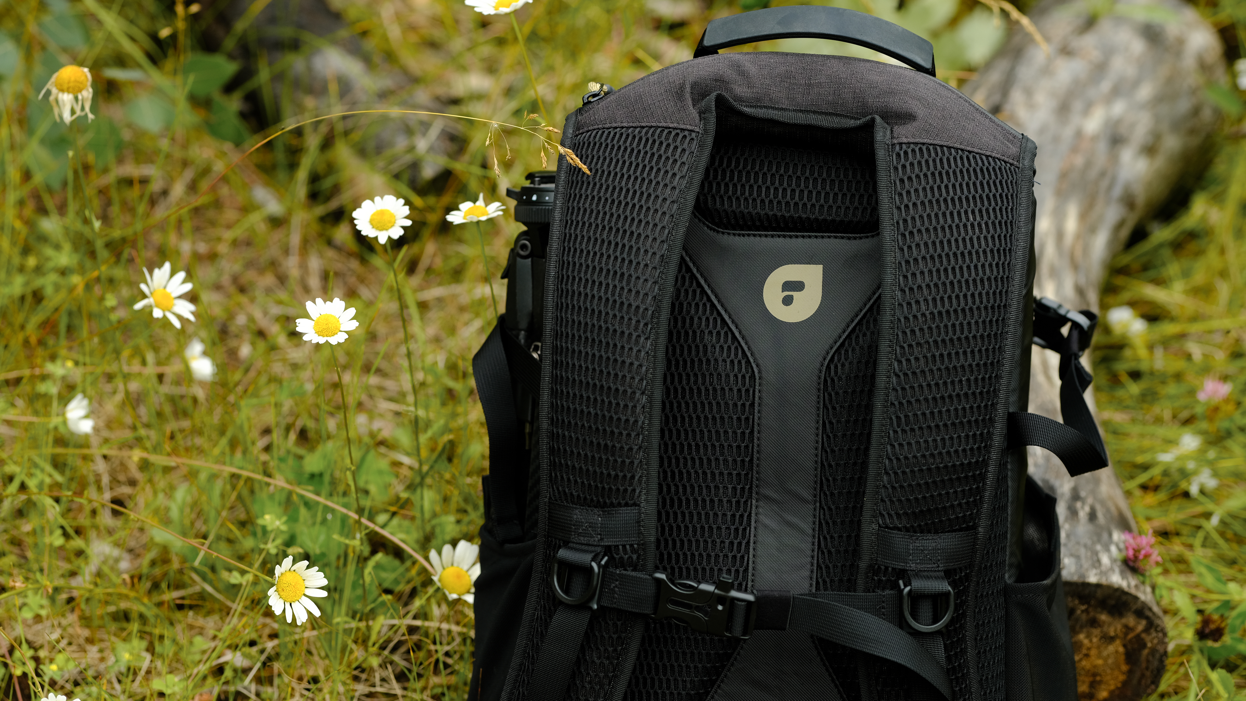 The PolarPro RoadRunner 16L outdoors