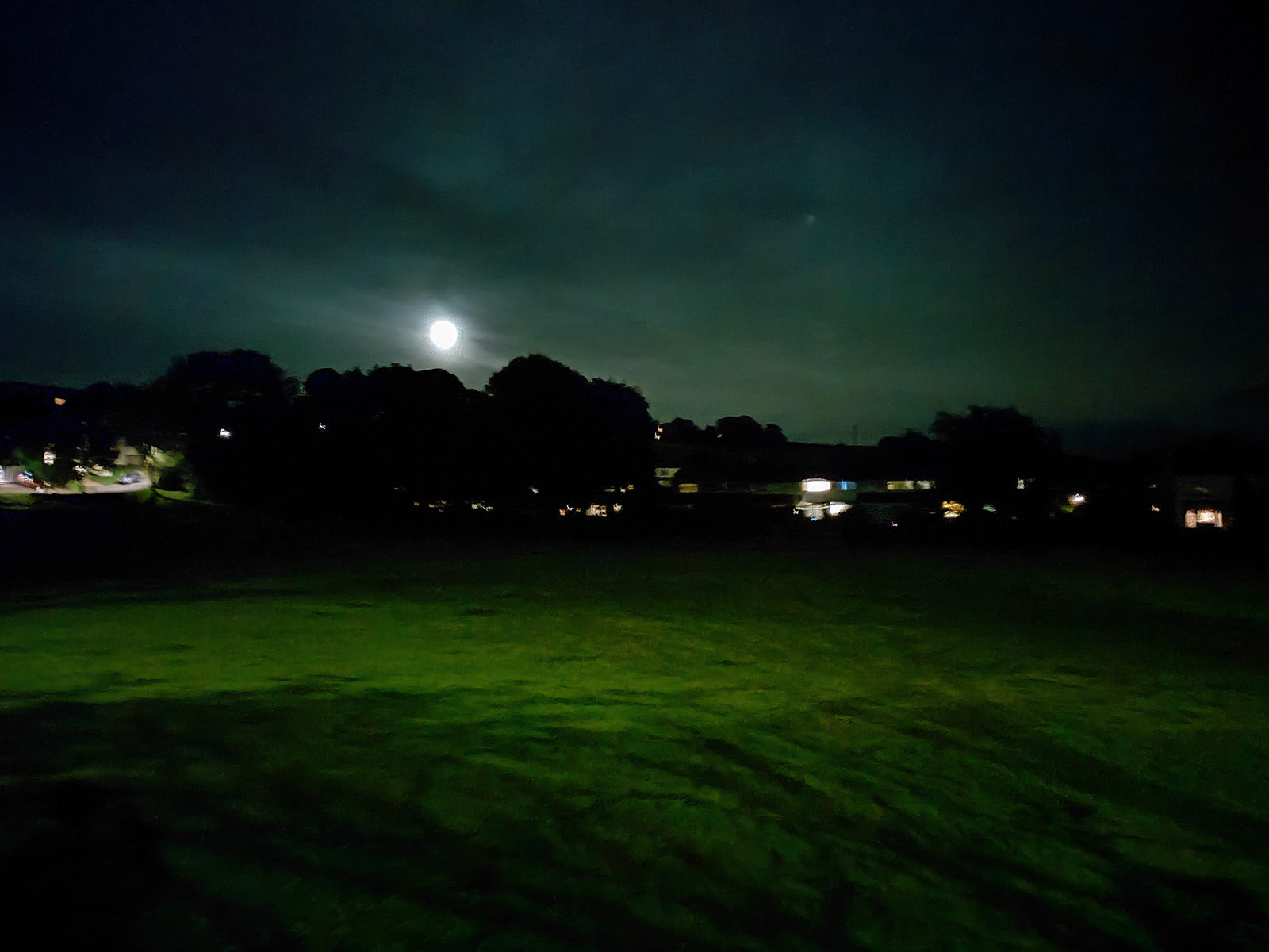 Realme GT Master Edition camera samples – a green at night.