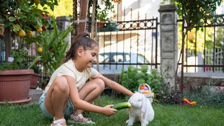 Little girl plays with white rabbit