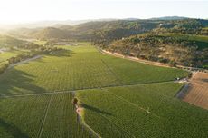 Heitz Cellar Producer Profile