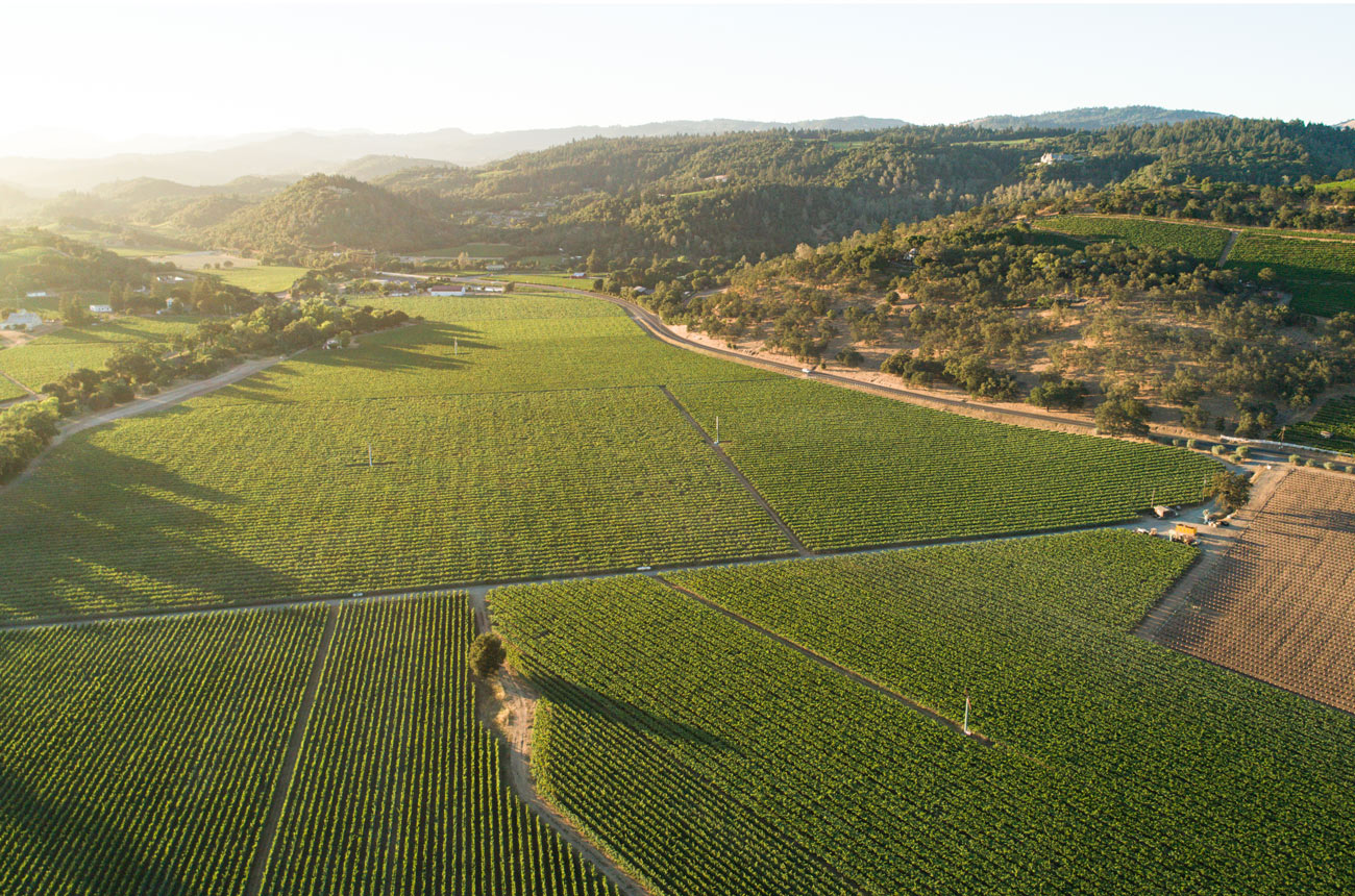 Heitz Cellar Producer Profile