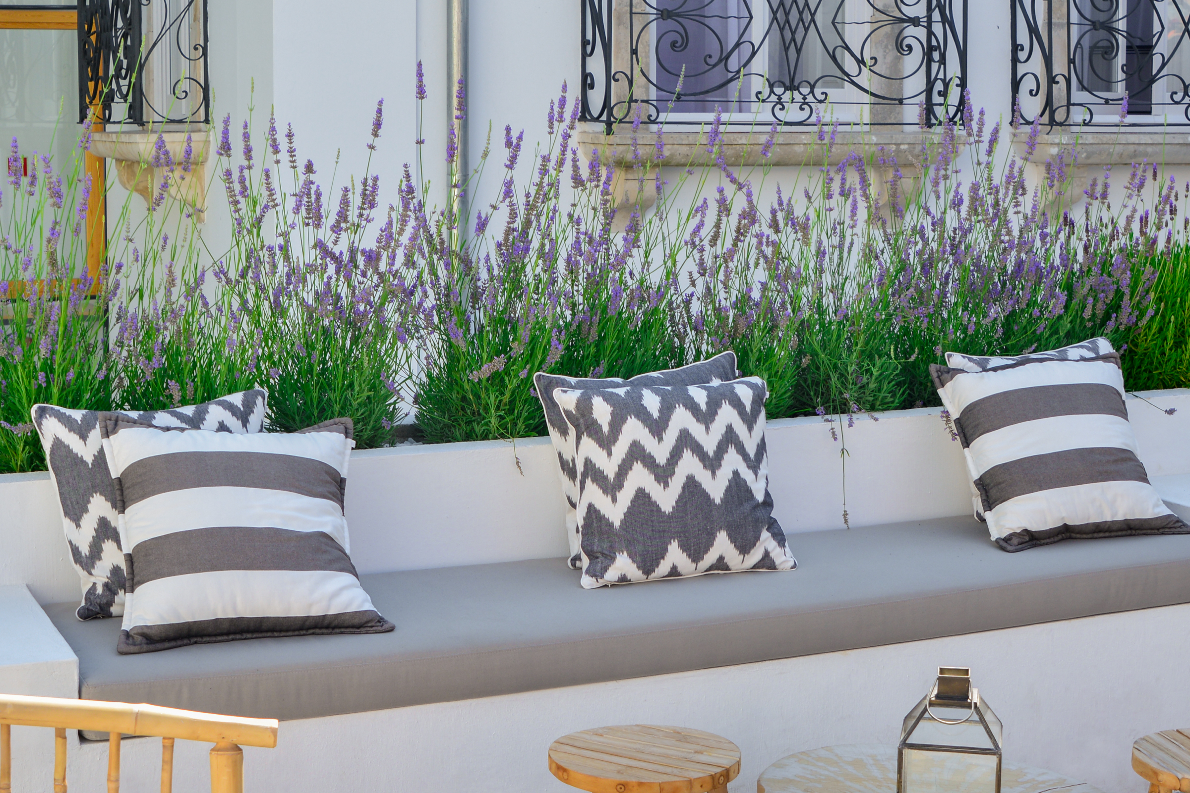 lavender growing in a raised bed on a patio, used to soften hard landscaping